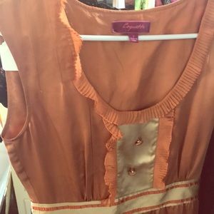 Rust Silk Pleat Dress